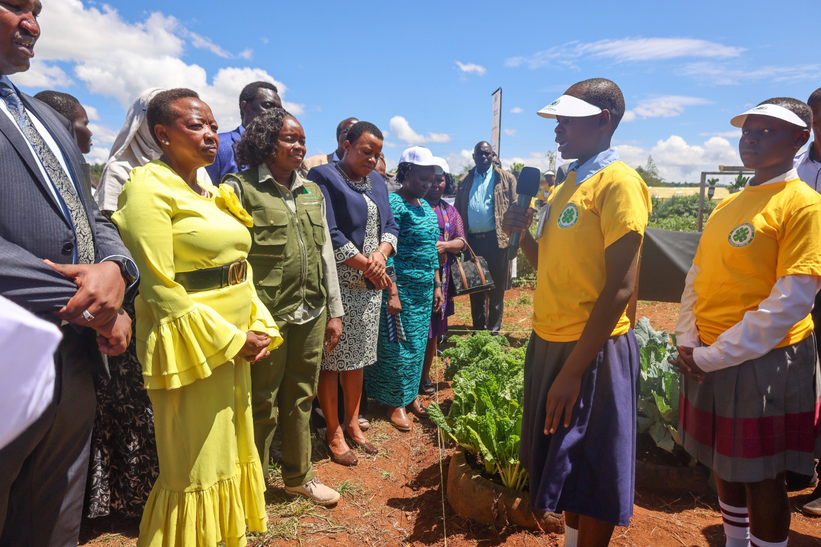 mama-doing-good-kitchen-garden